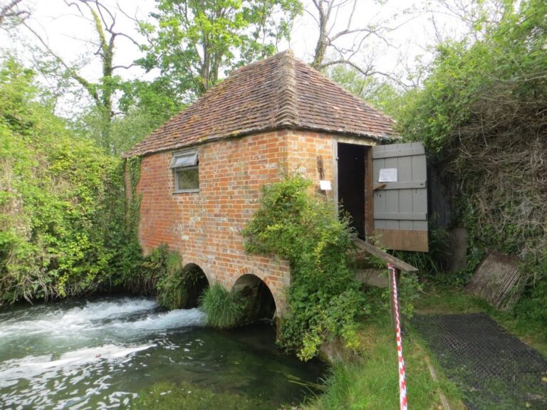 Eel House 2019