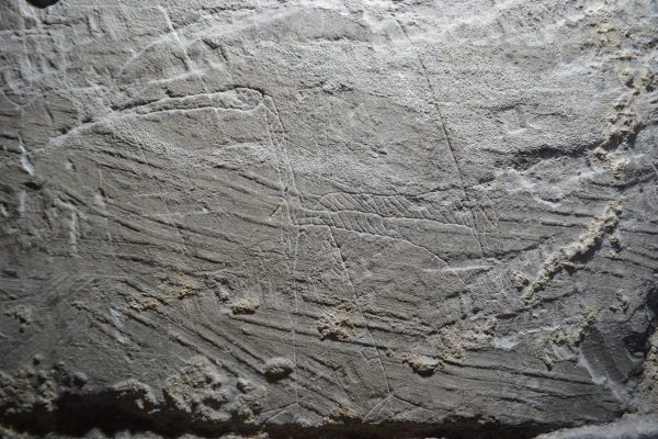 The Hampshire Medieval Graffiti Project